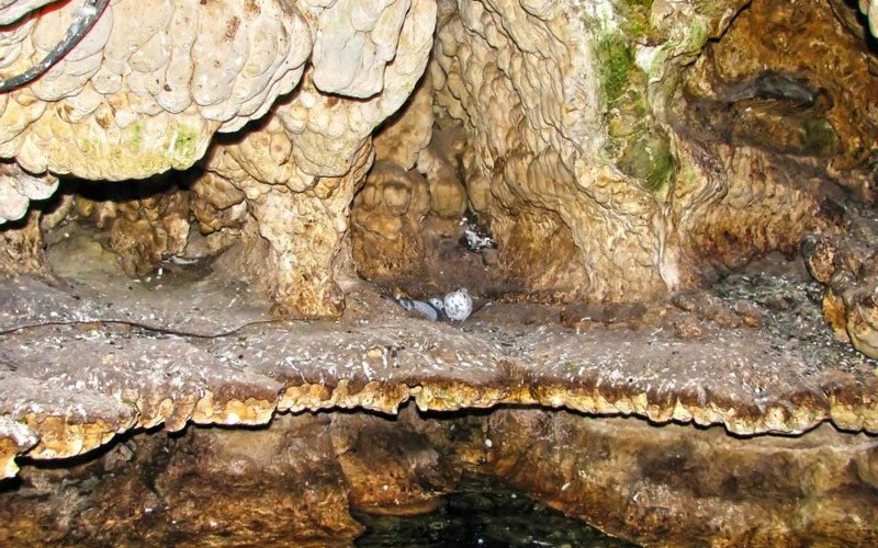 sahoolan cave